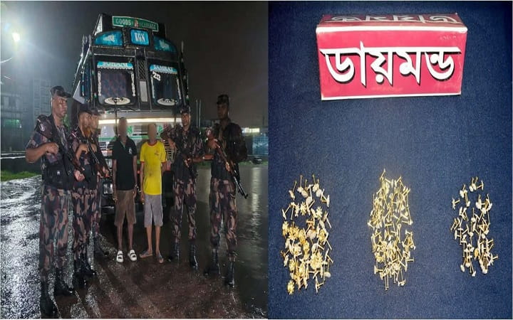 ভোমরা চেকপোস্টে বিজিবির অভিযানে ২১৬ ডায়মন্ডের নাকফুল জব্দ, আটক ২